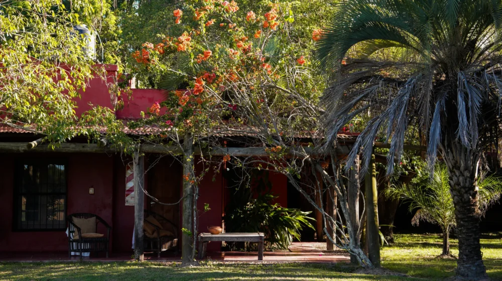 Copia de DSC06988_converted