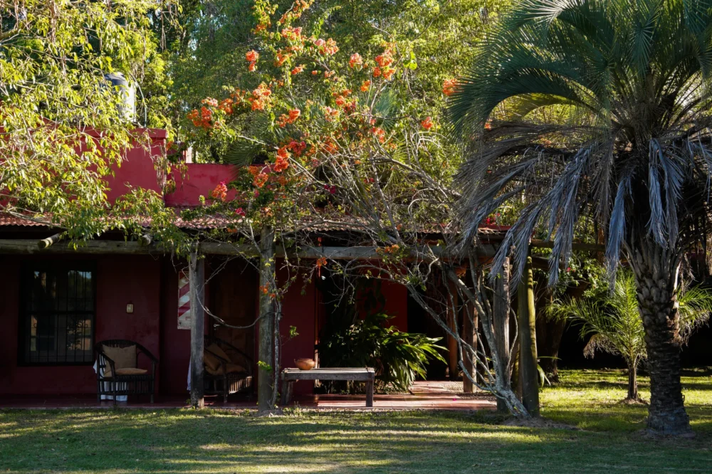 Copia de DSC06988_converted