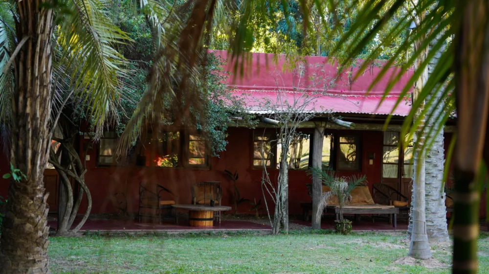 Copia de DSC06997_converted