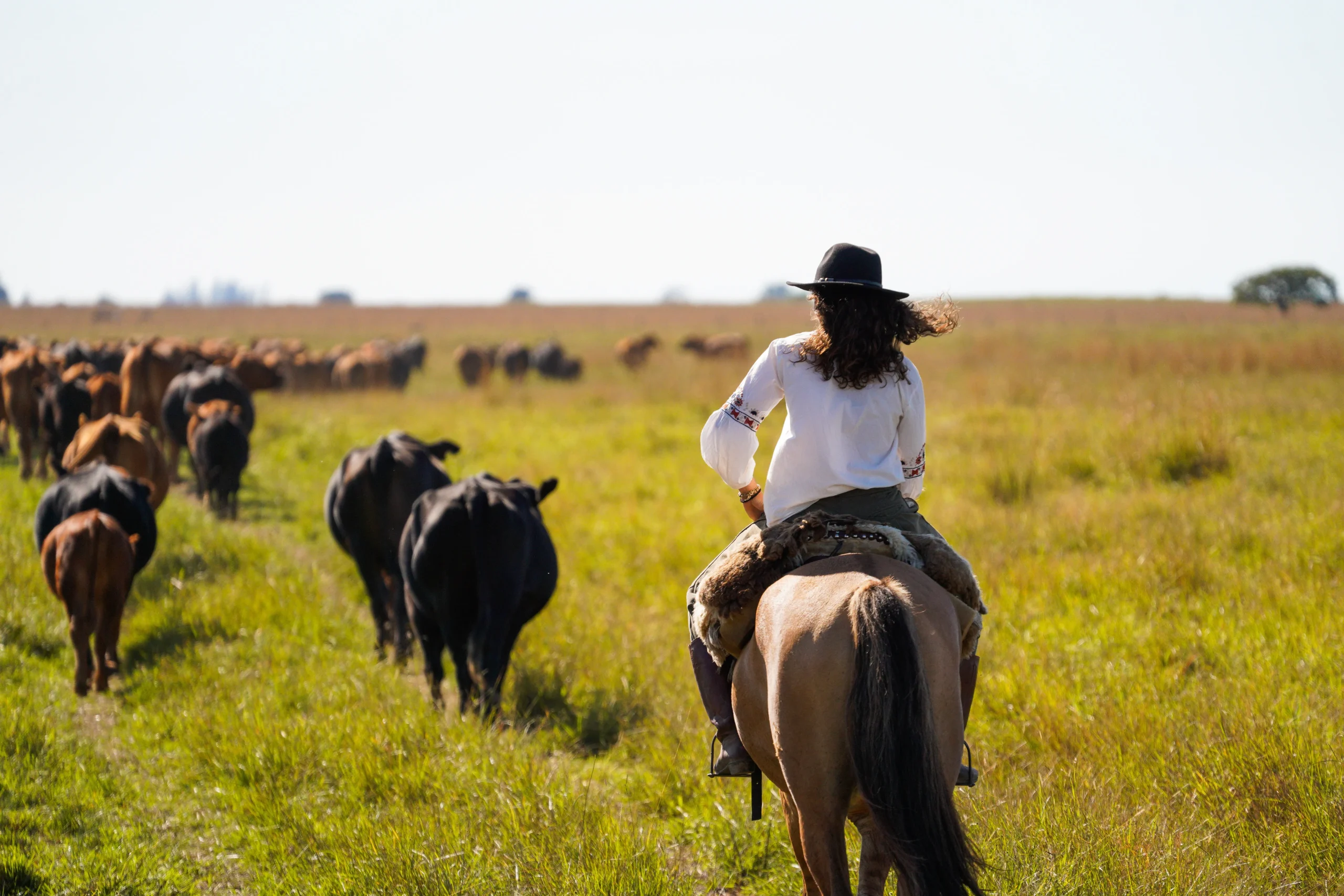 Copia de DSC07105_converted