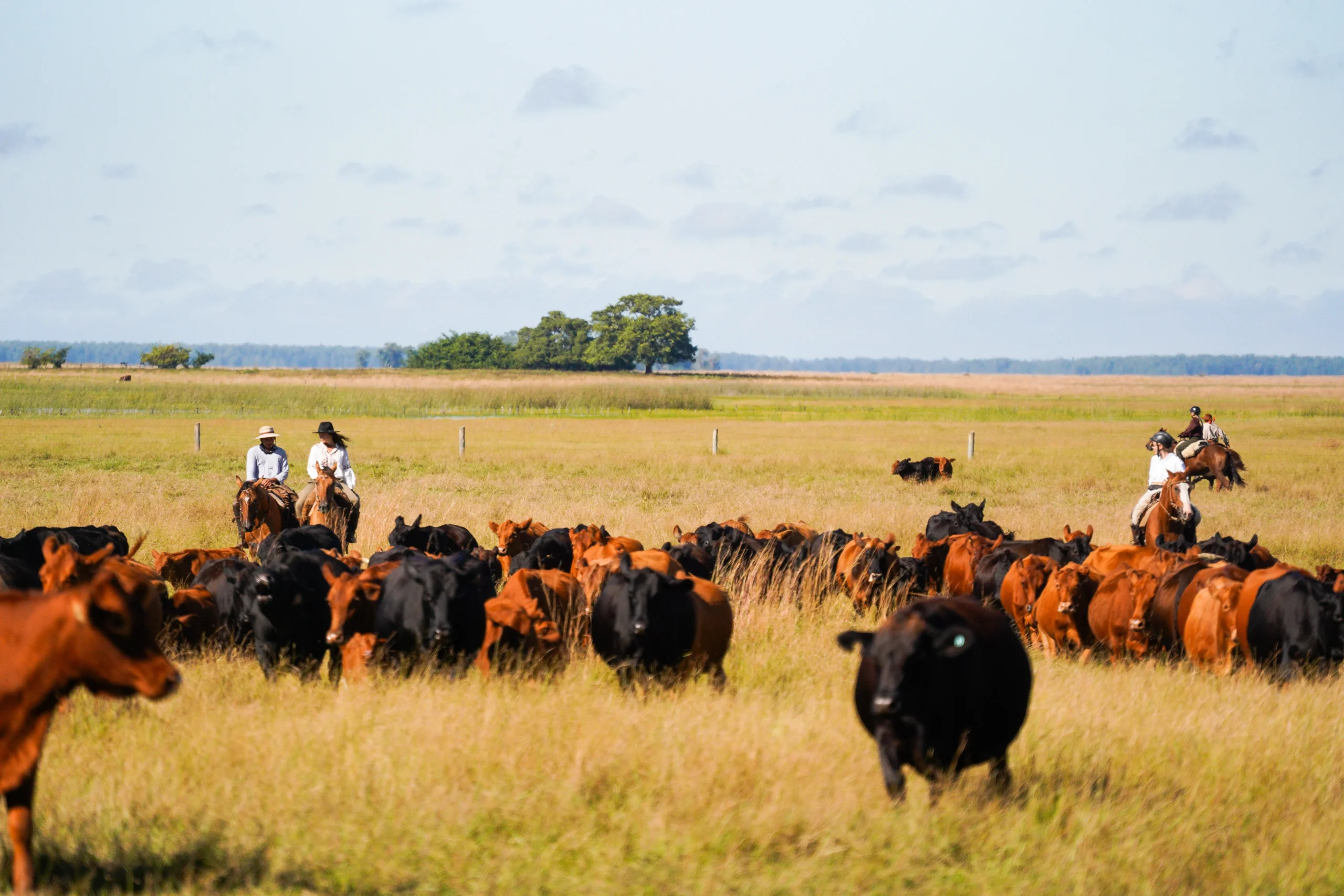 Copia de DSC07111_converted