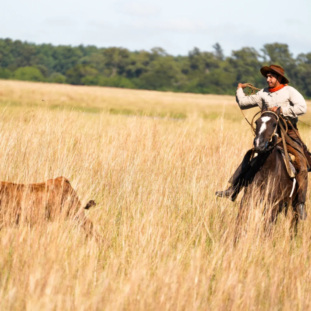 Copia de DSC07180_converted