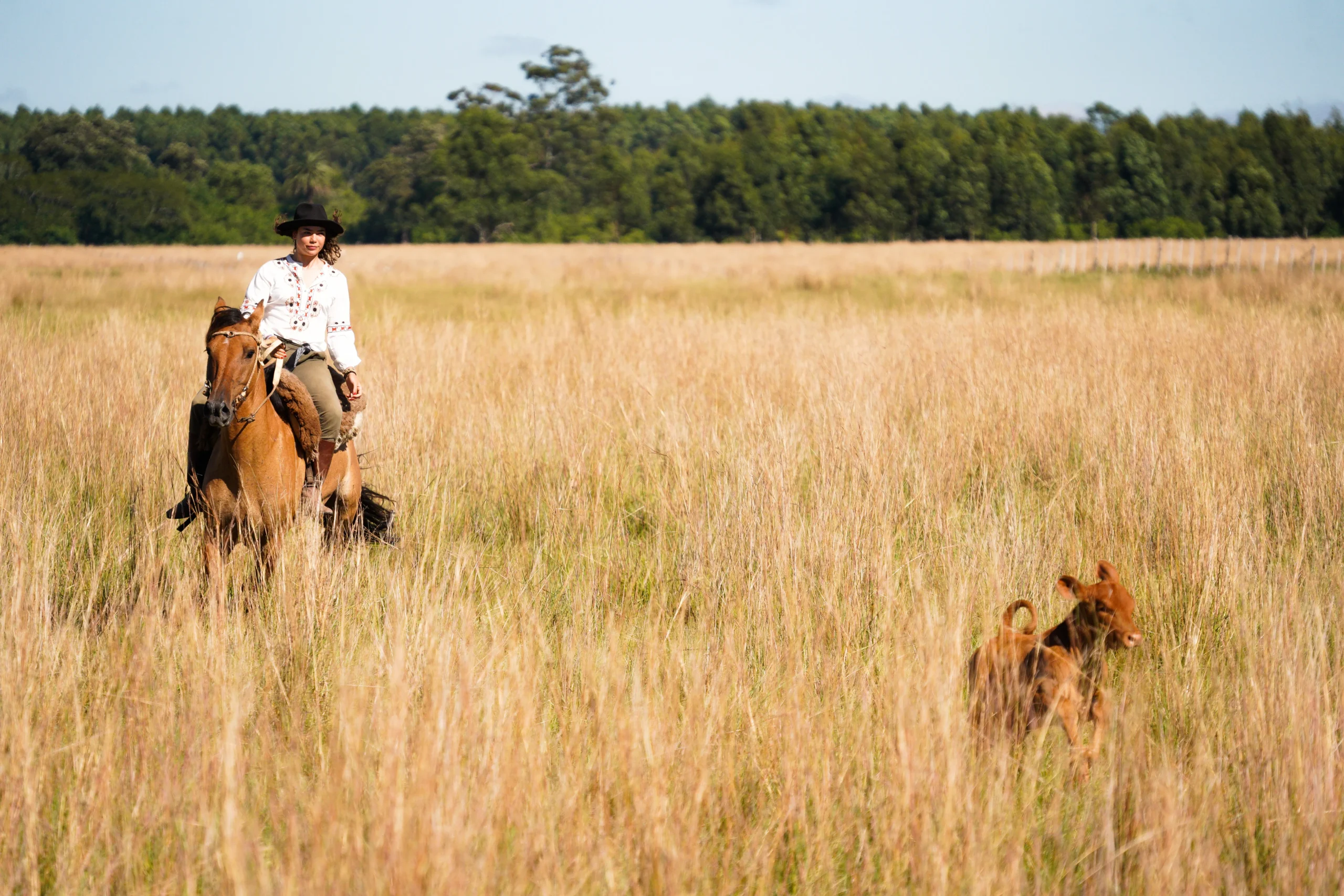 Copia de DSC07181_converted