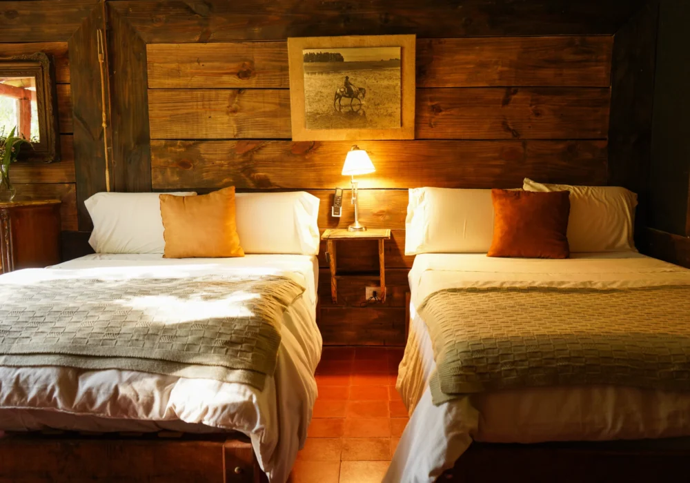 Copia de DSC07208_converted