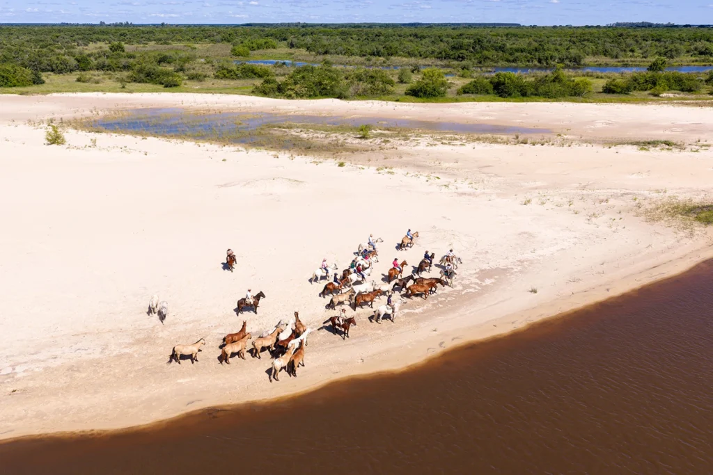 Horses on a river beach in Corrientes Argentina
