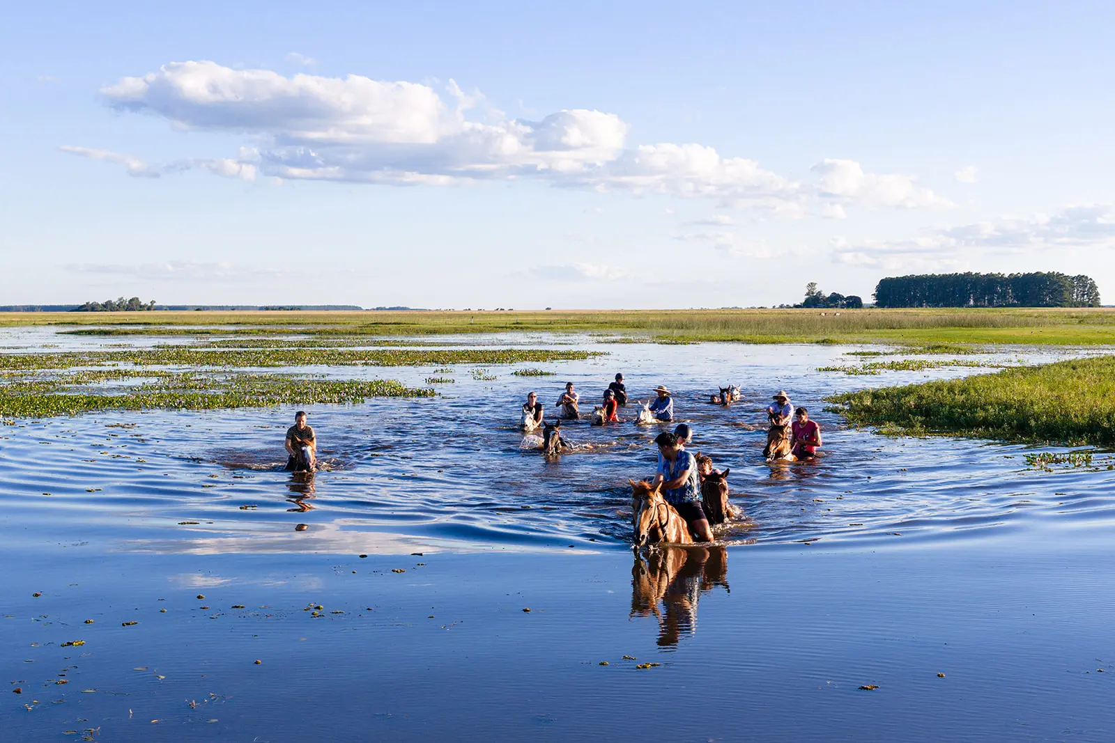Riding horses through a lagoon in Corrientes Argentina
