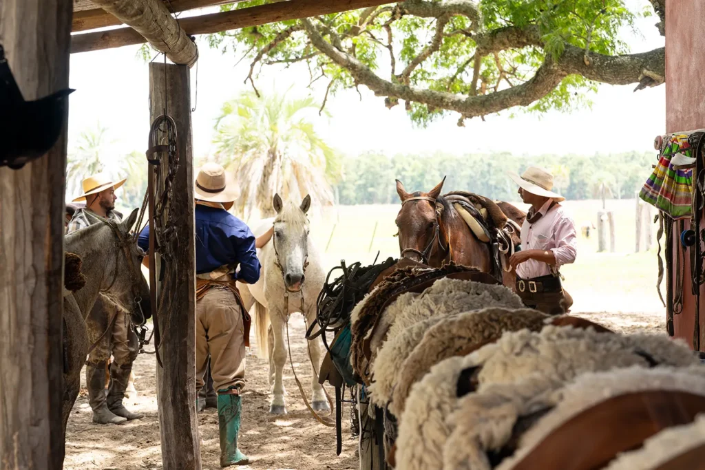 saddles used for criollo horse riding