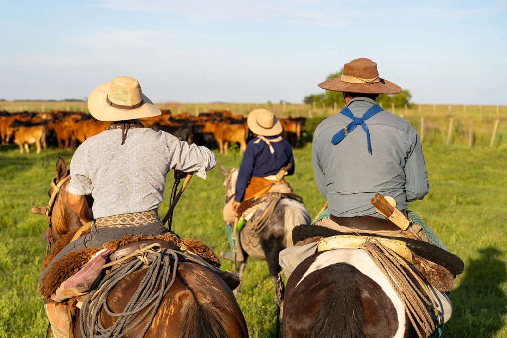 Three gauchos in the sun herding cattle on horses in Argentina