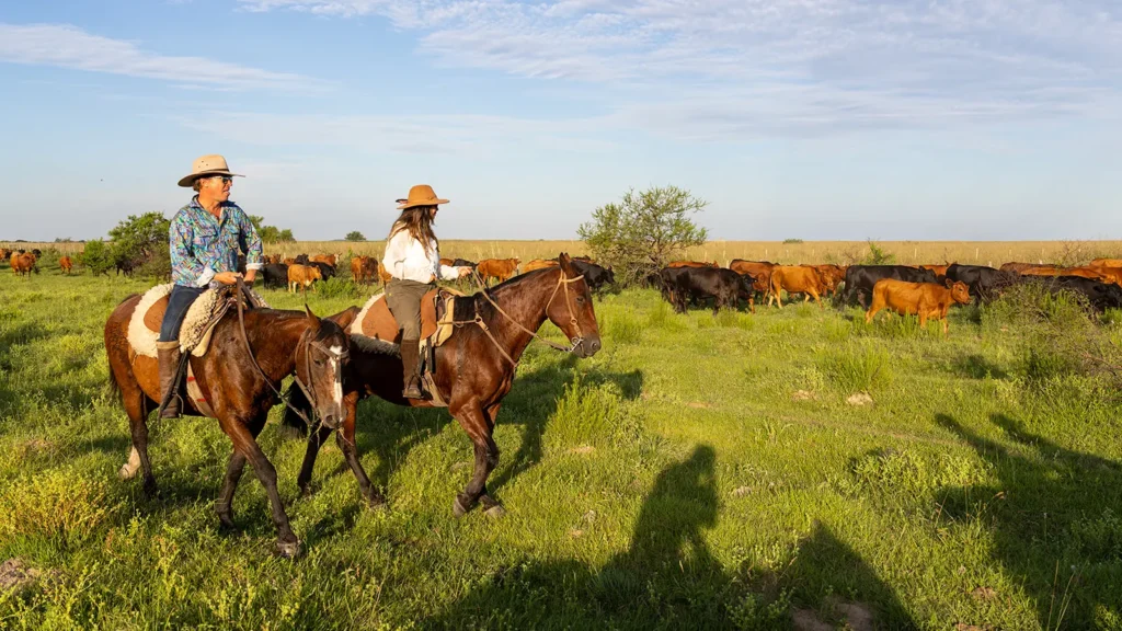 Two riders riding criollo horses in Argentina
