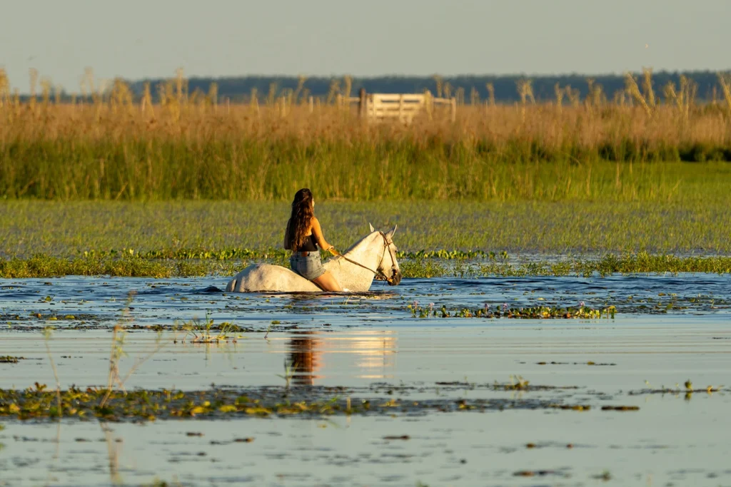 A woman in shorts riding a white horse bareback in a lagoon in Corrientes